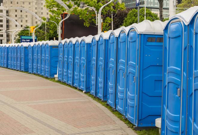 Seasonal porta potty units set up at a Flint, Michigan venue